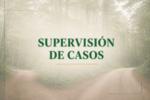Supervisión de casos